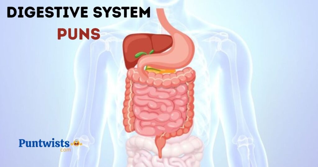Digestive System Puns