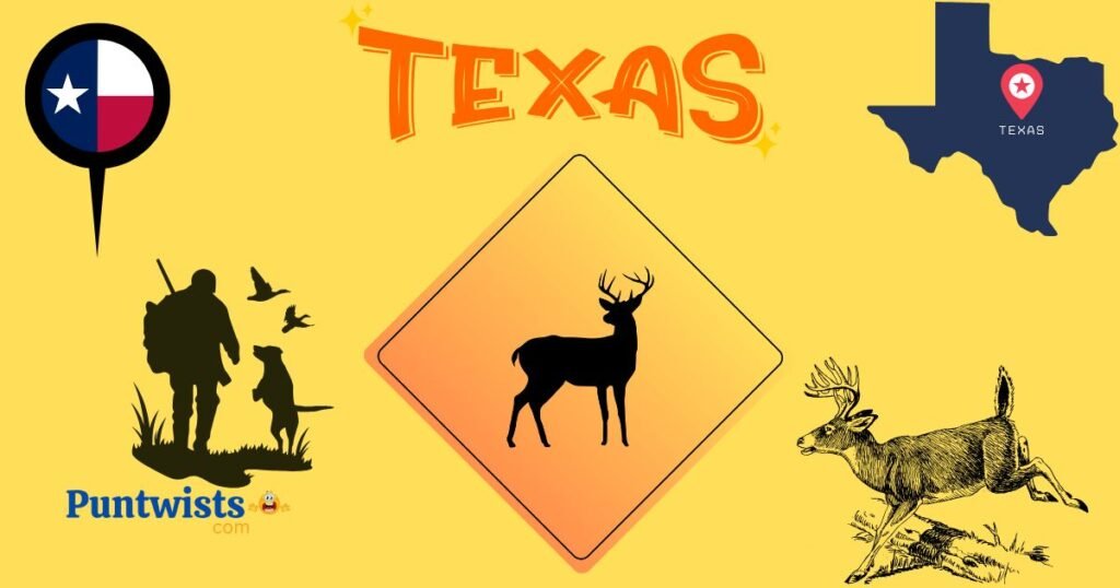 Texas Snipe Hunting Puns