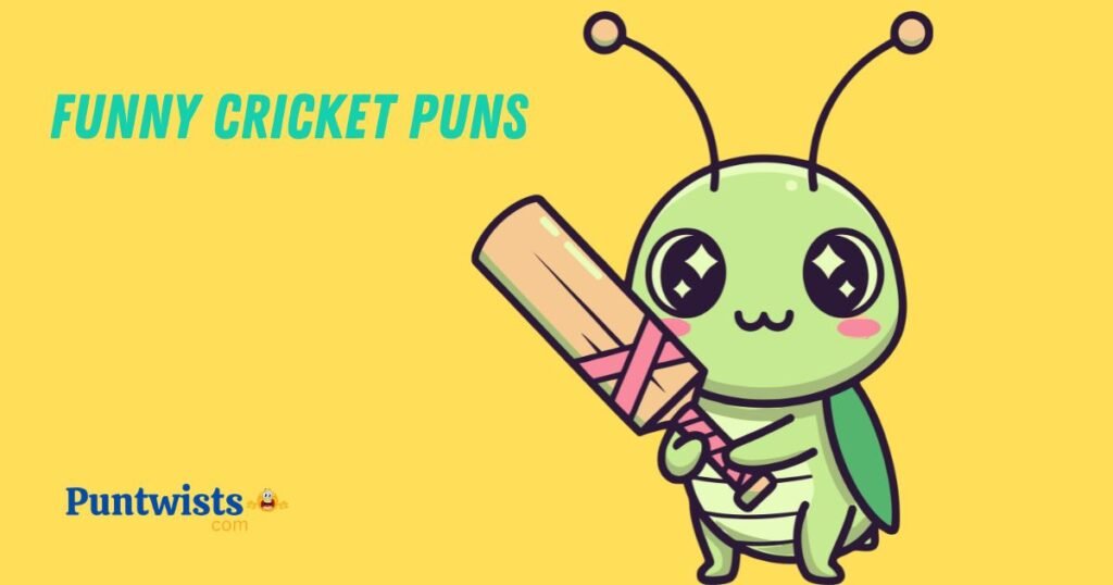 Funny Cricket Puns