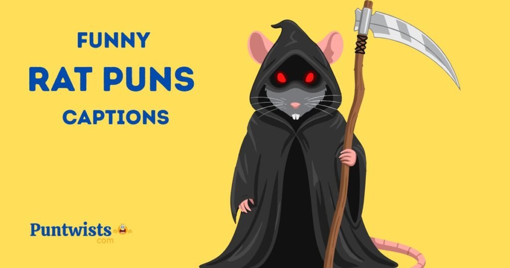 Funny Rat Puns Captions