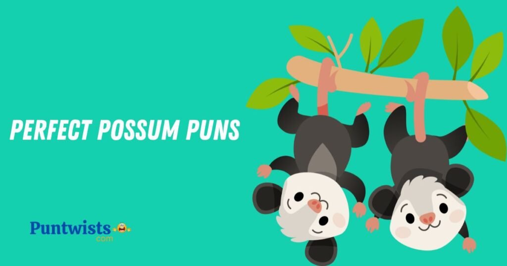 Perfect Possum Puns